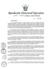 Vista preliminar de documento RDE-N-041-2019-MINEDU-VMGI-PRONIED
