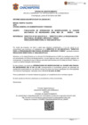Vista preliminar de documento INFORME 000266-2026-MPCHOGAF-OA [264240.001]