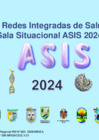 Vista preliminar de documento Sala Situacional de ASIS 2024