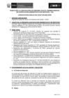 Vista preliminar de documento BASES CAS 009-2020