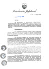 Vista preliminar de documento N° 032-2026-RE-IIE