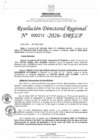 Vista preliminar de documento RDR - 0212-2026