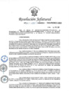 Vista preliminar de documento RJ-No-047-2017-MINEDU-VMGI-PRONIED-UGEO