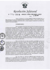 Vista preliminar de documento RUGEO-No-114-2018