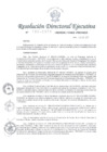 Vista preliminar de documento RDE-N-193-2019-MINEDU-VMGI-PRONIED