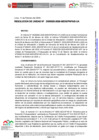 Vista preliminar de documento RU-0025-2026-MIDIS-PNPAIS-UA