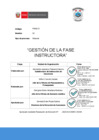 Vista preliminar de documento PM06.01 Gestión de fase instructora exp 202500506623