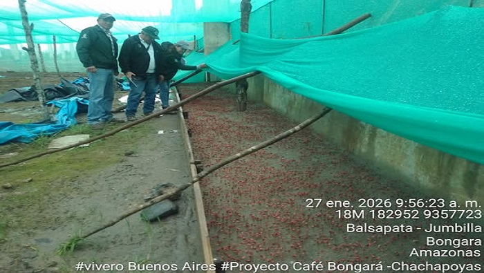 VIVEROS SUPERVISIÓN 2