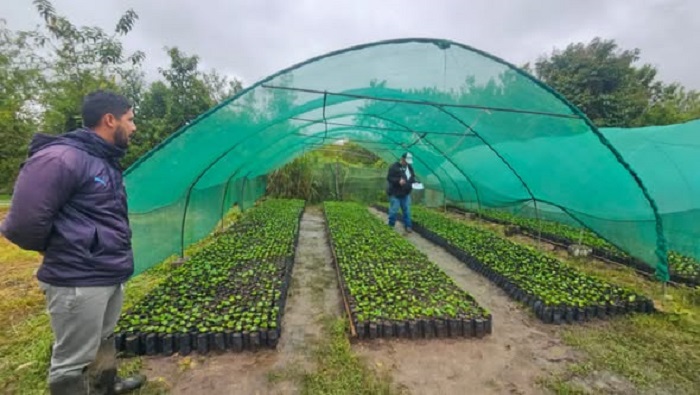 VIVEROS SUPERVISIÓN 3