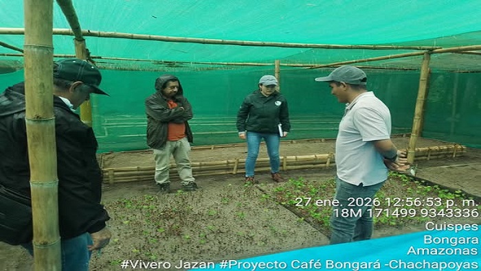 VIVEROS SUPERVISIÓN 4