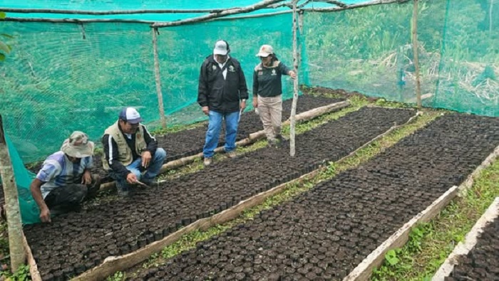 VIVEROS SUPERVISIÓN 5