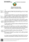 Vista preliminar de documento Nº 136-2026-OGESS ESPECIALIZADA-D
