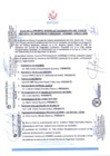 Vista preliminar de documento Acta 1ra Sesión Extraordinaria CODISEC CHILCA 2026