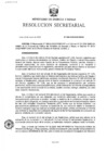 Vista preliminar de documento RS N° 006-2026-MINEM-SG