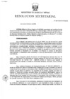 Vista preliminar de documento RS N° 009-2026-MINEM-SG