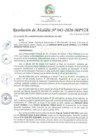Vista preliminar de documento RA_041-2026-MPV/A