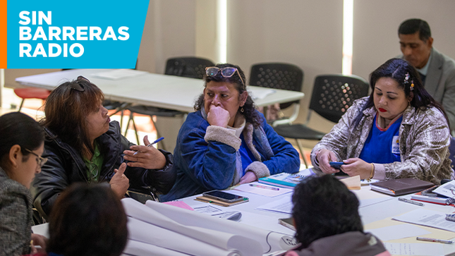 Conadis abre proceso electoral para elegir a su nueva Comisión Consultiva 2026 - 2029