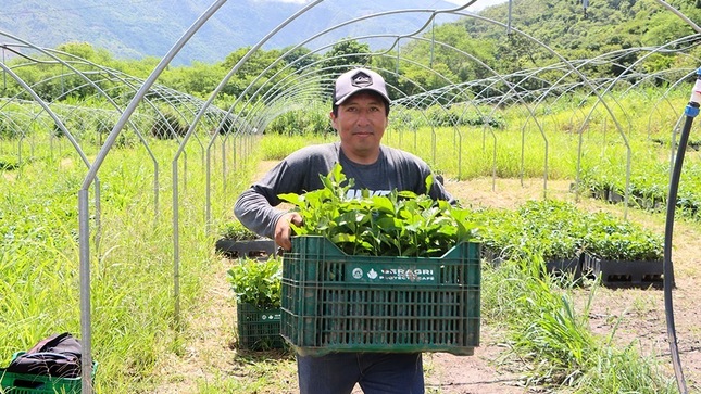 Eje Estratégico De Crecimiento: Gobierno Regional Cusco Reactiva Proyecto Café Para Fortalecer La Economía De Más DE 4 800 Familias Productoras