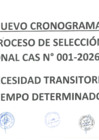 Vista preliminar de documento NUEVO CRONOGRAMA CAS N° 01
