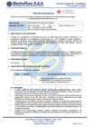 Vista preliminar de documento TDR - Servicio de analisis legal sobre conceptos remunerativos y no remunerativos aplicables a los trabajadores de Electro Puno S.A.A-1 (002)[FP]