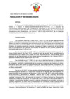 Vista preliminar de documento RESOLUCION-000155-2026-ANIN-OA