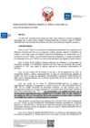 Vista preliminar de documento RGG-016-2026-BNP-GG