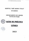 Vista preliminar de documento GUÍA DE PRÁCTICA CLÍNICA DEL DPTO DE CIRUGÍA