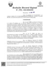 Vista preliminar de documento RDR Nº 0458-2026-GRSM-DRE