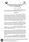 Vista preliminar de documento RDR Nº 0459-2026-GRSM-DRE