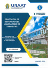 Vista preliminar de documento Protocolo de Seguridad del Laboratorio de Debriefing