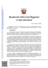 Vista preliminar de documento RDR N°0067-2026-DRELM