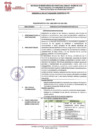 Vista preliminar de documento REQUERIMIENTO N.° 010-2026-SBPM-GG-GAC-CISA