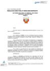 Vista preliminar de documento RESOLUCION DIRECTORAL-000024-2026-DFS