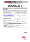 Vista preliminar de documento Comunicado II