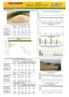 Vista preliminar de documento Boletín de abastecimiento y precio del ARROZ - 17/02/2026