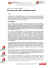 Vista preliminar de documento RESOLUCIÓN DIRECTORAL-000078-2026-DG