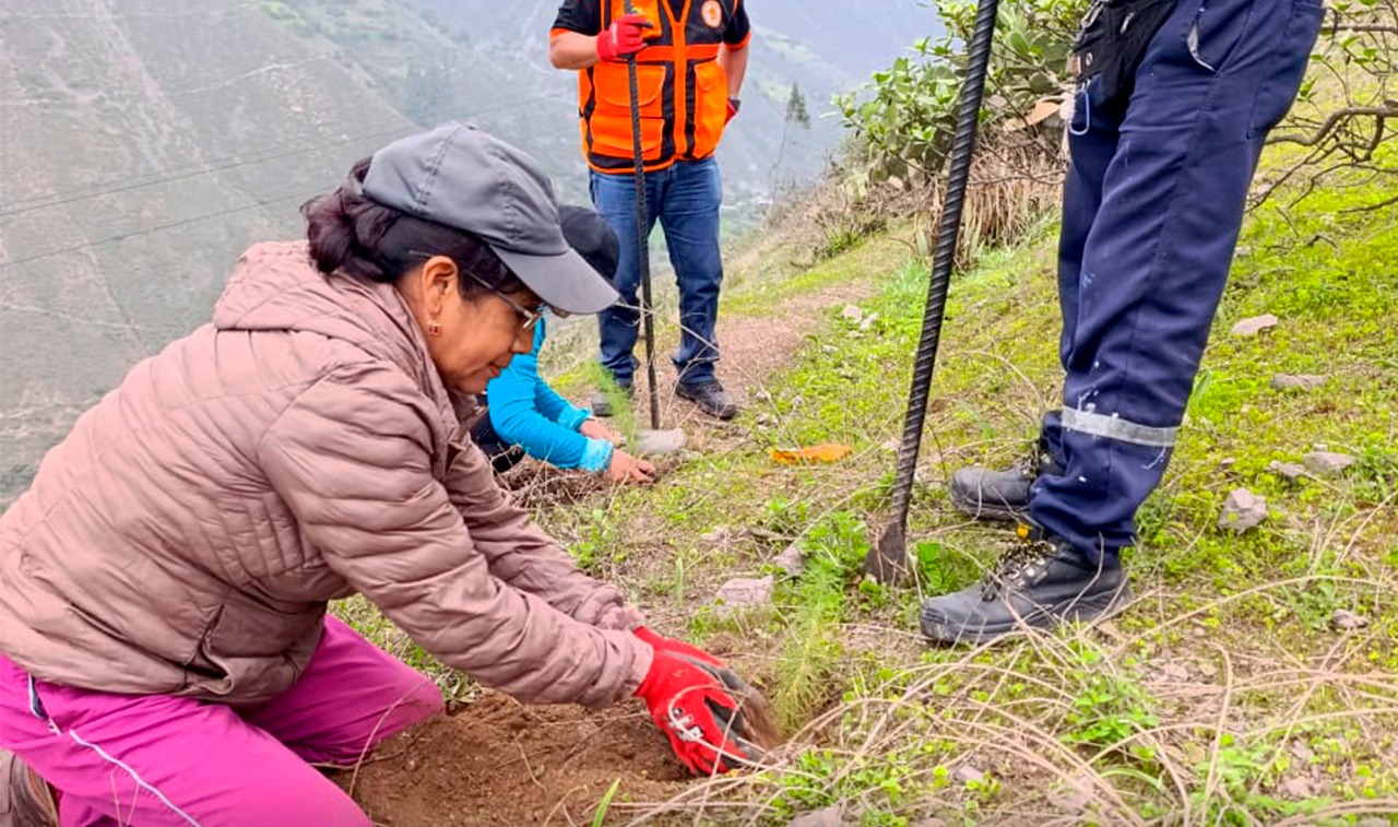Jornada de forestación