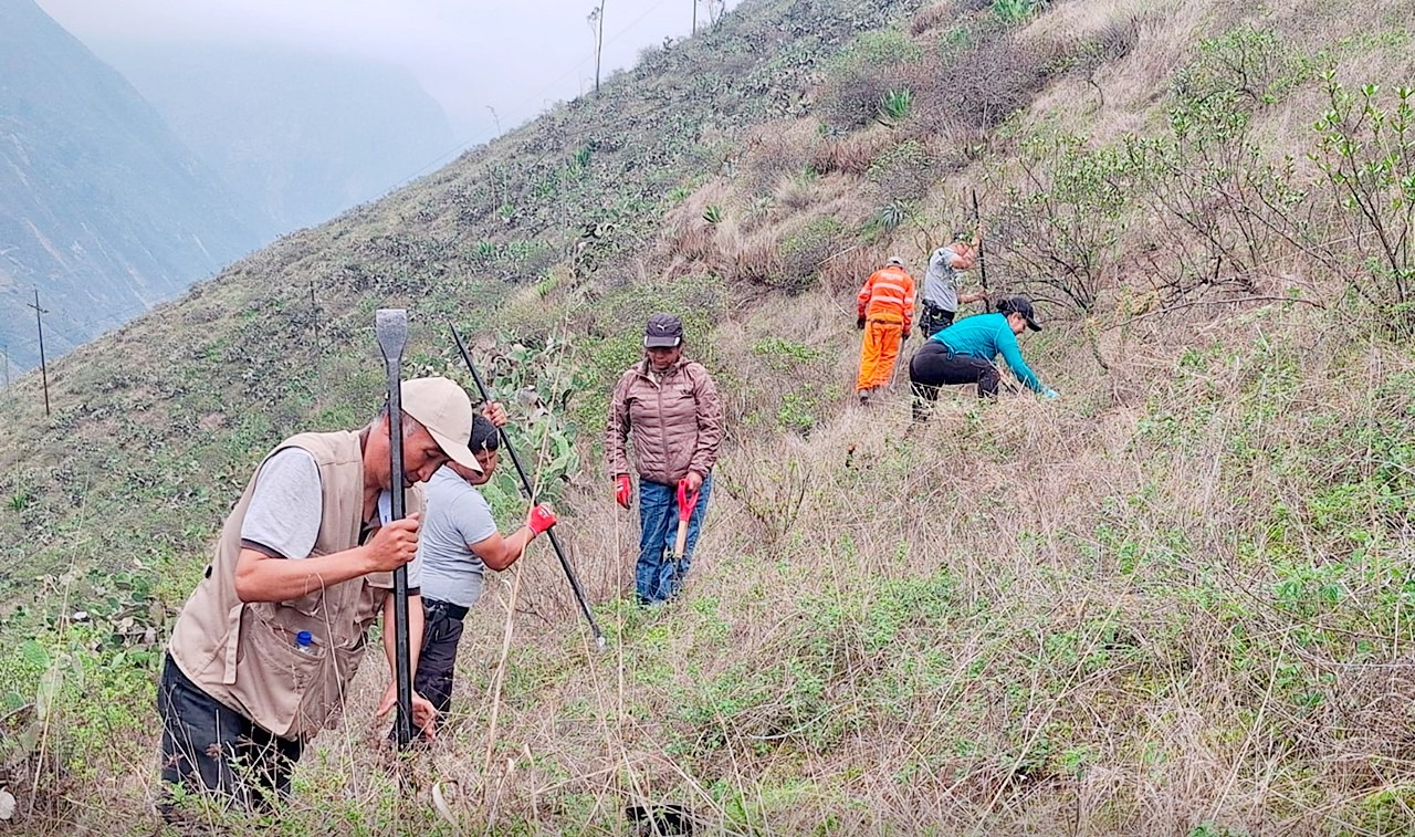 Jornada de forestación