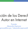 Vista preliminar de documento Protección de los Derechos de Autor en Internet - Alexandra Espinoza