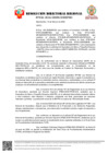 Vista preliminar de documento RDR N°036-2026