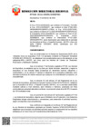 Vista preliminar de documento RDR N°040-2026