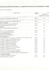 Vista preliminar de documento ANEXO N° 06 APROBAR LAS MODIFICACIONES AL CUADRO MULTIANUAL DE NECESIDADES N° 002