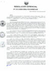 Vista preliminar de documento RG-N-013-2026-GRA-P.E.CHINECAS