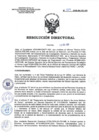 Vista preliminar de documento RD 024-2026-SA-DG-INR