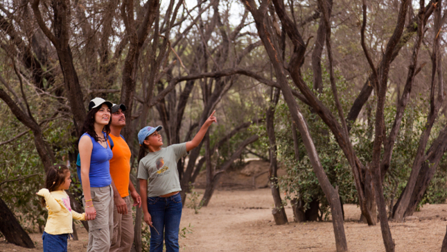 PROMPERÚ: Experiencias y viajes con propósito marcan la tendencia en los viajes familiares