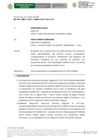 Vista preliminar de documento INFORME 0007-2026 AUTO DIRECTORAL 004-2026