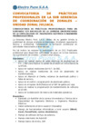 Vista preliminar de documento CONVOCATORIA DE PRACTICAS PROFESIONALES SUBGERENCIA DE COORD. Z. ZONAL JULIACA