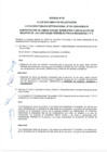 Vista preliminar de documento Adenda Nº 03  Enmienda a documentos de licitación