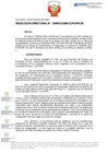Vista preliminar de documento RD Nº D000018-2026-DE