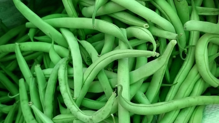 
MINISTERIO DE DESARROLLO AGRARIO Y RIEGO